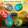 Black Gold Pure Himalayan Shilajit Resin - Plant Derived Fulvic