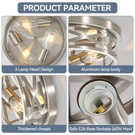 DOXVIEZE 2 Pack Brushed Nickle Flush Mount Ceiling Lights, Modern Ceiling Light Fixture 13 Inch E26 Base Indoor Metal Cage Kitchen Ceiling Lights for House Hallway Bedroom Living Room Laundry