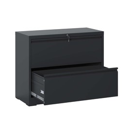 AVGVLIJ Lateral File Cabinet with 2 Drawer, Printer Stand, Lockable File Cabinet for Home Office, Metal Filing Cabinet with Lock for Legal/Letter/ A4/ F4 Size (Black)
