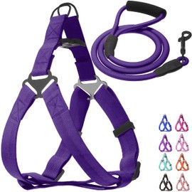 JUSTGIFT Step in No Pull Dog Harness, Free Upgrade Ultra Durable Dog Rope Leash Harness Nylon (2-in-1) Non-Slip Adjustable, Easy Control Handle, Strong Metal, Vest Harness for Puppy Dog - Purple M