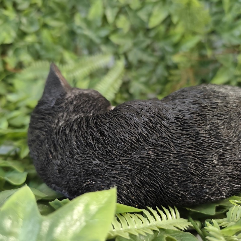 Vivid Arts - Sleeping Cat Black & White - XRL-ZC35-D