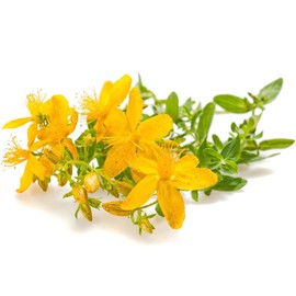 St. John's Wort C/S - Dried Hypericum perforatum Loose Tea from 100% Nature (1 oz)