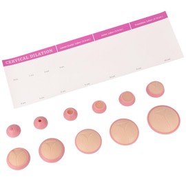 MedEduQuest Cervical Dilation Simulator with 0-10cm, Gynecological Examination Model, for Midwife and Doula Training, Medical Education, and Birth Learning, with Scroll Design