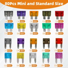 Liamner 80 PCS Car Fuses Assortment Kit, Standard & Mini Fuse (2A/3A/5A/7.5A/10A/15A/20A/25A/30A/35A), Blade Fuses Automotive for Car, RV, Truck, Marine, Motorcycle