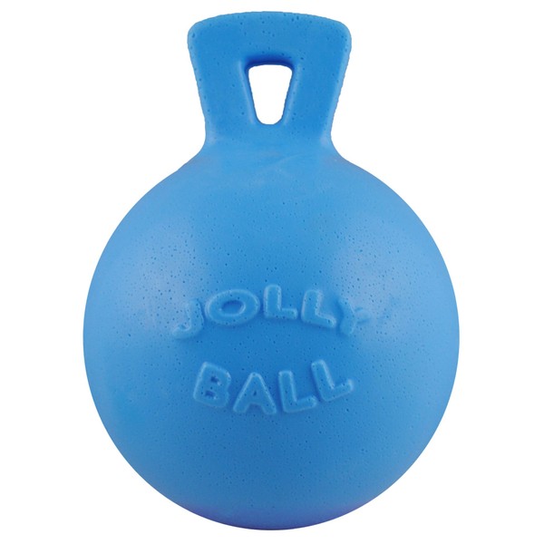 Jolly Pets Tug-n-Toss Heavy Duty Dog Toy Ball with Handle, 10 Inches/X-Large, Blueberry