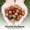 PYOR Carnelian - 1/2lb Bulk Healing Stones, Tumbled Crystals, Reiki