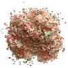 Inside My Nest Biodegradable Wedding Confetti Peach Mint Coral Gold