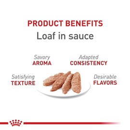 Royal Canin Feline Health Nutrition Adult Instinctive Loaf in Sauce Canned Cat Food, 5.1 oz Can (24-Count)