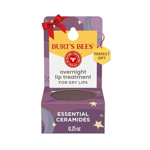 Burt's Bees Burt's Bees Overnight Intensive Lip Treatment, 0.25 oz
