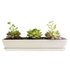 Clound city White Ceramic Long Rectangular Succulent Flower Planter Pot
