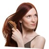 Healeved 1Pc Massage Comb Wide Tooth Hair Comb for Scalp