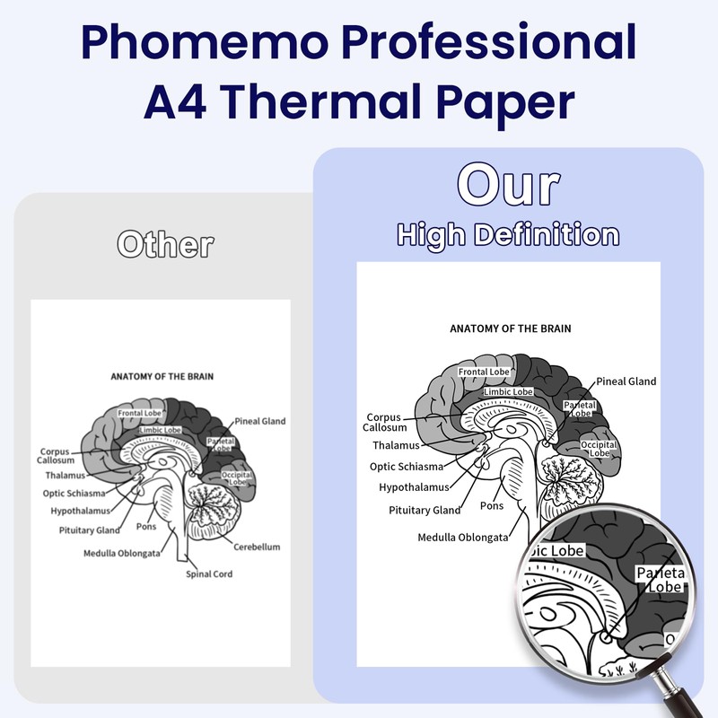 Phomemo A4 Printer Paper, White Single Sheet Quick-Drying Thermal Paper