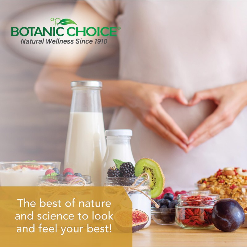 Botanic Choice Liquid Extract, Ginger Root, 1 Fluid Ounce