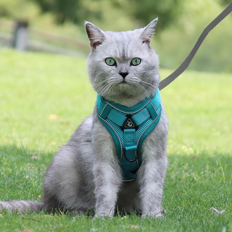 Cat Harness and Lead Set, Escape-Proof Kitten Harness with Retractable