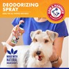 Arm & Hammer For Pets Super Deodorizing Spray for Dogs