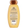 Garnier Whole Blends Repairing Shampoo Honey Treasures, For Damaged Hair,