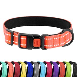 CollarDirect Reflective Dog Collar for Small Medium Large Dog Puppy with Quick Release Male 48 Varieties Nylon Waterproof