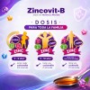 Zincovit-b Sup Alimenticio Vitaminas Minerales Jarabe 200 Ml