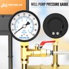 MEANLIN MEASURE 0-100Psi 2" DIAL FACE 1/4" NPT Well Pump