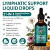 Lymphatic Drainage Drops,21-in-1 Herbal Formula for Liposomal Lymphatic Support &