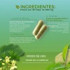 Suplemento Alimenticio Vitam. C+ Moringa + Té Verde Biosuple