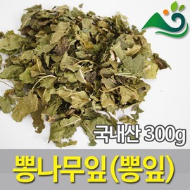 청명약초 뽕나무잎(뽕잎)(상엽)(300g)-국내산 Clear Herbal Mulberry Leaves (300g) - Domestic Product