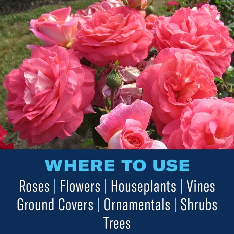 BioAdvanced All-In-One Rose and Flower Plant Spray, Hose Spray, 32