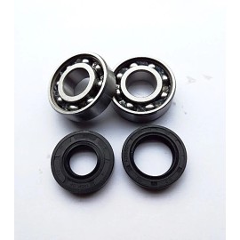 Pro Moto Supply QT50 Yamahopper Crank Shaft Bearings and Seals Kit 79 80 81 82 83 84 85 86 87