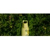 SIGG - Insulated Thermo Flask Hot & Cold ONE Light
