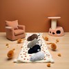WLSuDHoncc Furry Mice Cat Toy Wind Up Realistic Mouse Toys