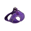 Doodlebone Snappy Harness, Violet, 3