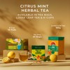 Gya Tea Co Citrus Mint Herbal Tea Bags (20 Bags)
