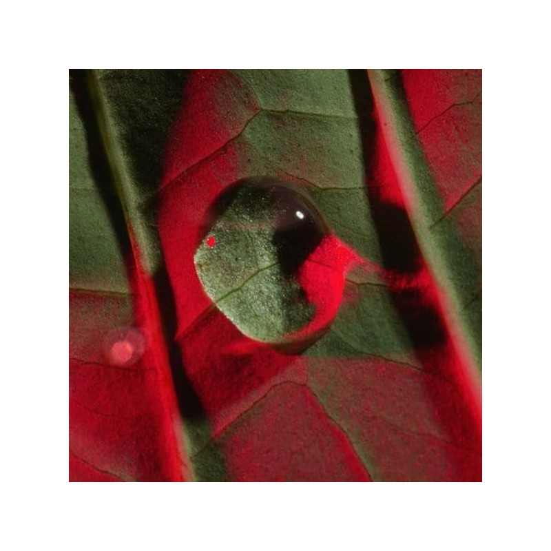 토탈 아이 리프트 (아이 세럼) 15ml 리필 Total Eye Lift