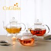 CnGlass Replacement Glass Tea Infuser with Lid for 20.3oz Teapot,Borosilicate