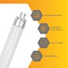 Diodesy- Pack of 10 F8T5/DL T5 Linear Fluorescent Light Bulb,