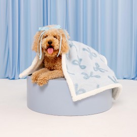 Lesure Waterproof Puppy Blanket for Small Dogs - Washable Double Sided Dog Blankets with Warm Jacquard Shag and Soft Sherpa Fleece, Pet Cat Blanket for Couch Protection, Bow Design，Ice Blue