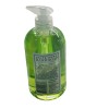 FLOWER Delta Home Cactus Flower Liquid Hand Soap 16 Floz/