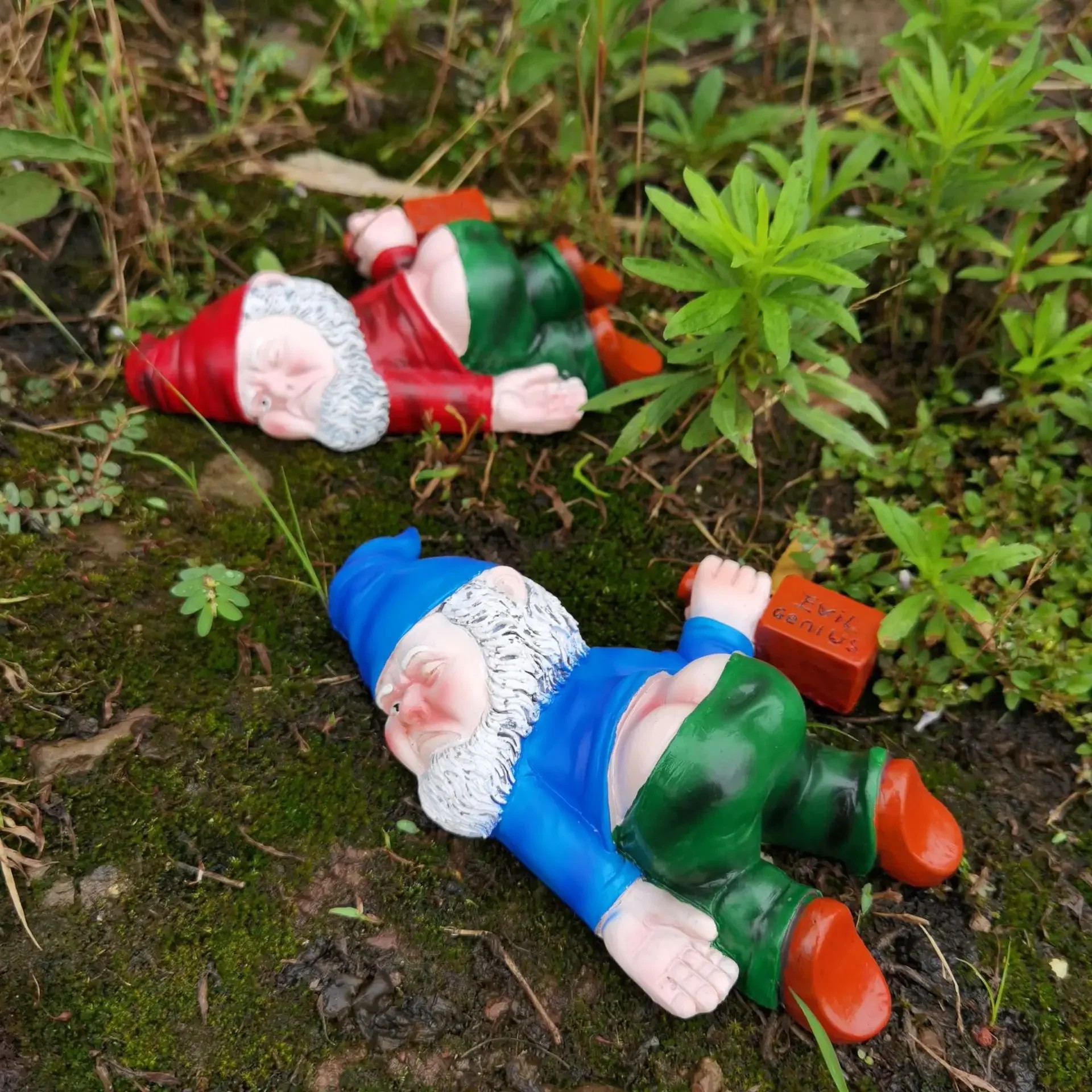 funny garden gnome