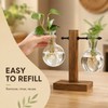 Desktop Hydroponic Plant Propagation Vase with Wooden Stand and 2
