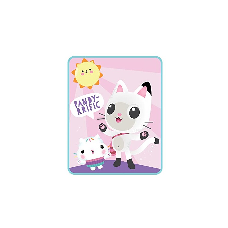 Franco Kids Bedding Super Soft Plush Micro Raschel Throw, 46