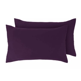 Pair of Pillowcases 2 Pack Pillow Cases Covers Anti-Allergy Anti-Bacterial Super Soft Touch Brushed Microfibre (Blackberry Purple)