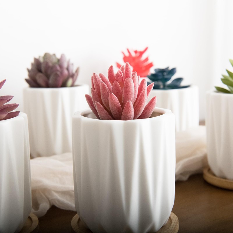 ARTKETTY Succulent Pots - 3.15 Inch White Small Plant Pots