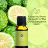Natureance Natureance Bergamot Essential Oil (15 mL) - 100% Pure