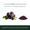 Eclectic Herb - Black Raspberry Powder Superfood Supplement | Nutritional