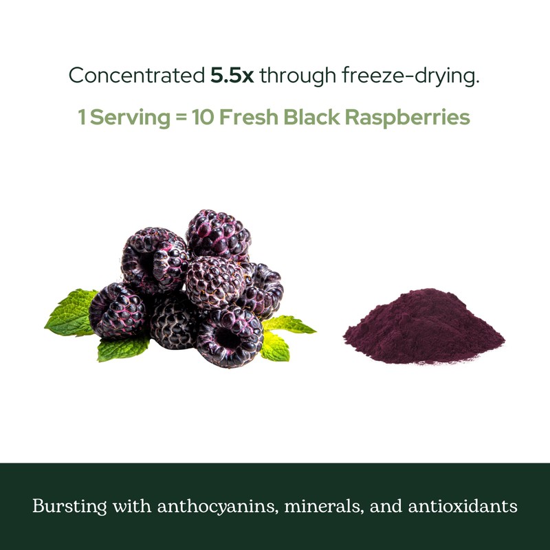 Eclectic Herb - Black Raspberry Powder Superfood Supplement | Nutritional