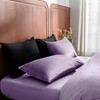 2 Pack Zippered Velvet Queen Pillowcases, Super Soft and Cozy