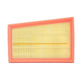 Valeo 585152 Air Filter