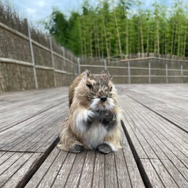 FlyEgg Lovely Squirrel Realistic Figurine for Home Garden Decoration