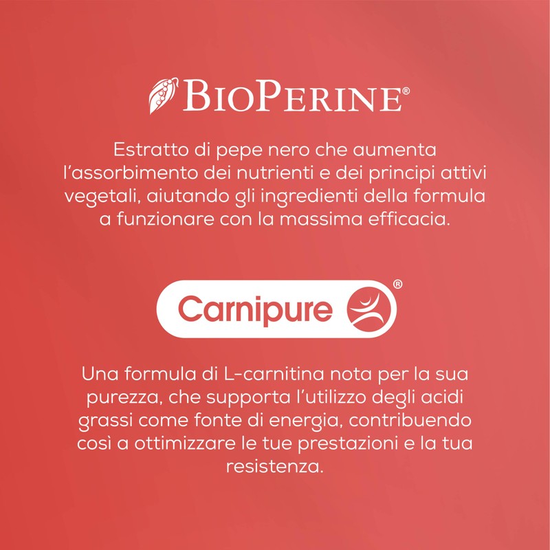 BioTechUSA Super Burn | con L-carnitina Carnipure® e BioPerine®