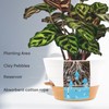 FIASON 12-Inch Self Watering Planters with Drainage Holes, Large Flower